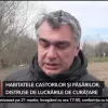 Habitatele castorilor si pasarilor, distruse de lucrarile de curatare din ...