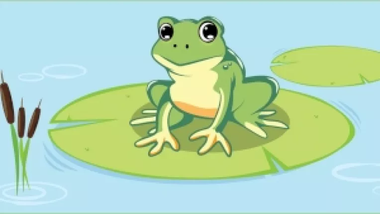 BROASCA, o schita de Areta Sandru