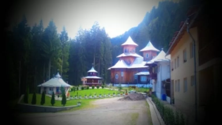 Calugarii de la manastirea Sihastria Raraului din Suceava divulga adevaratul motiv pentru care eleva Iulia Ionescu si-a luat lumea in cap