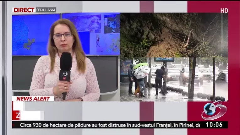 Cod galben de ploi si vant! Patru judete ale tarii sunt vizate de avertizarea meteo