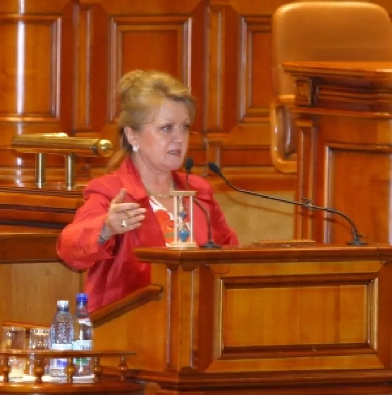 Daniela Buruiana a pierdut procesul cu Patapievici, Plesu si Dinescu