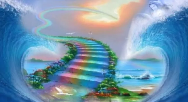 Fenomenul mortii este o iluzie generata de creier