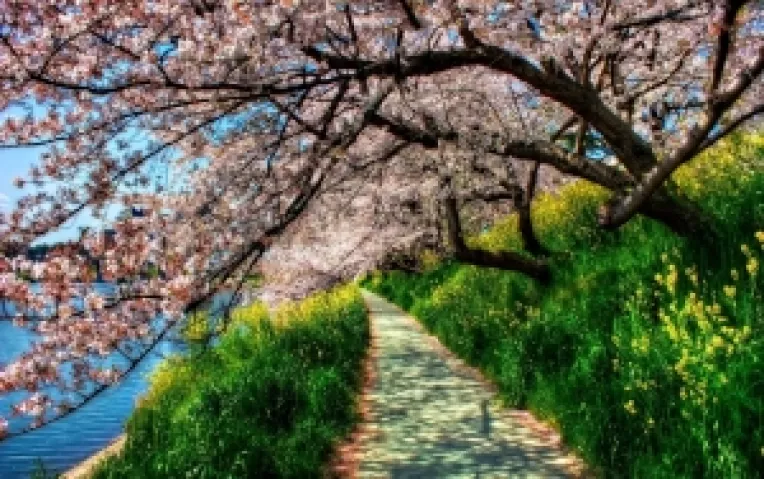 HOROSCOP: Saptamana 14-20 Aprilie 2014