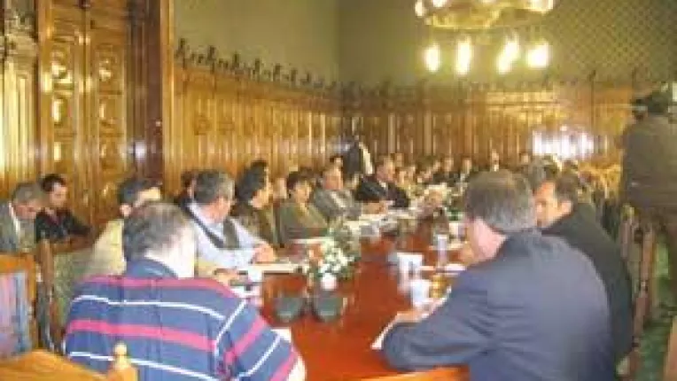 Integrarea da dureri de cap IMM-urilor