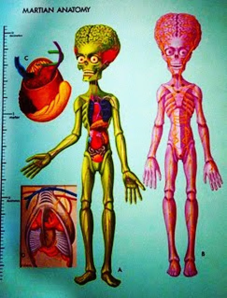 Unii dintre cei care fac dezvaluiri senzationale si tenebroase despre OZN-uri sunt niste denuntatori (whistleblowers) dubiosi (2)