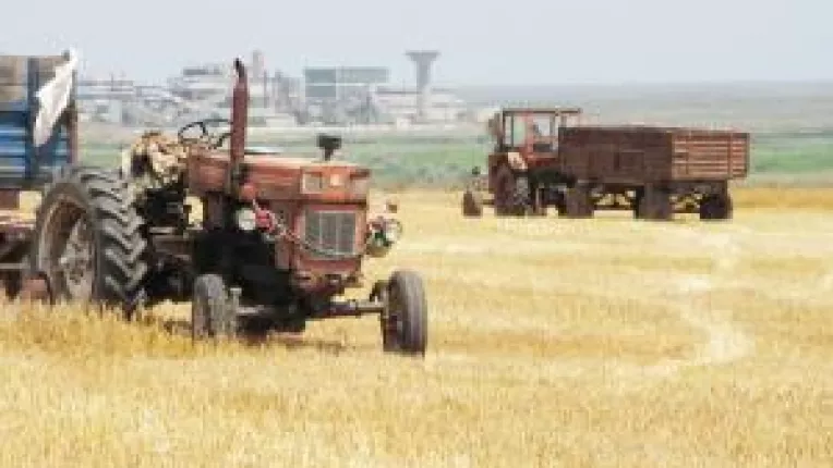 Vremea marilor ferme